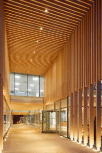 Davidson House Passageway Timber Natural Materials Soft Lighting Reading Office Building